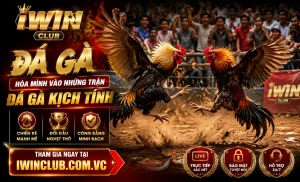 Tin nổi bật iwinclub 3