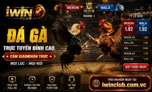 Tin nổi bật iwinclub 1