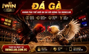 Tin nổi bật iwinclub 2